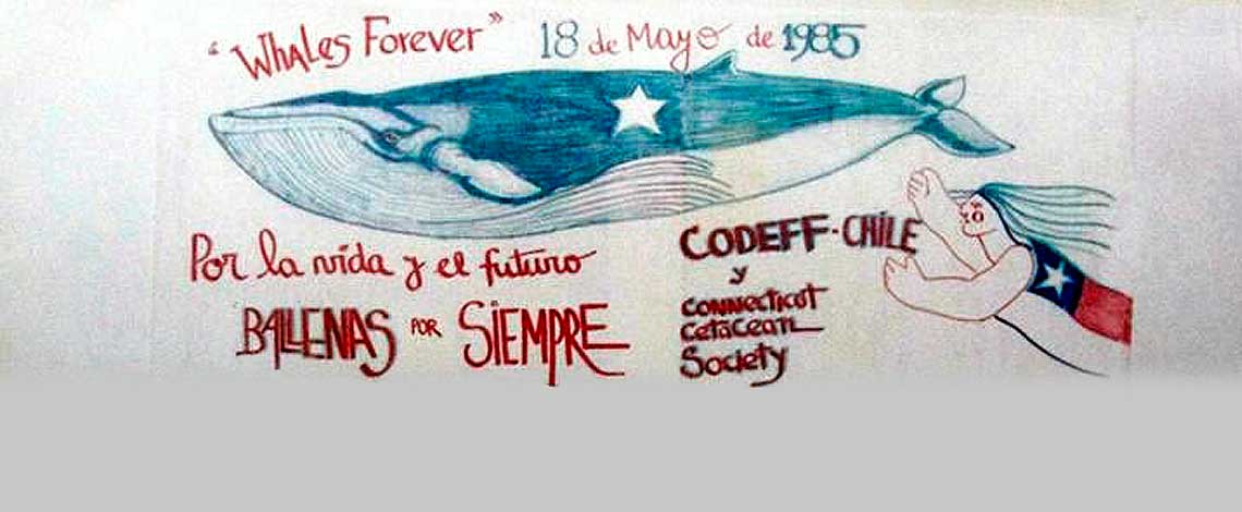 1983 | Campaña nacional e internacional que pone fin a las actividades balleneras en Chile