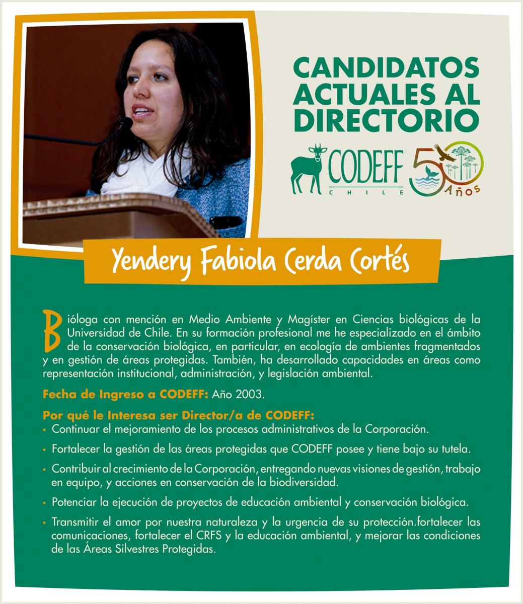 candidata_yendery_cerda_cortes