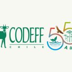CITACIÓN E INSTRUCTIVO PARA LA ASAMBLEA ORDINARIA ANUAL DE SOCIOS Y SOCIAS CODEFF 2025  