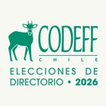 SEGUNDA CITACIÓN ASAMBLEA ORDINARIA DE SOCIOS Y SOCIASCODEFF 2026